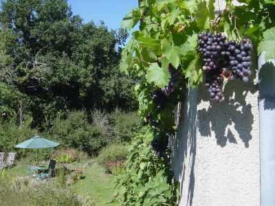 Chez Tartaud Villa Lathus St Remy Dış mekan fotoğraf