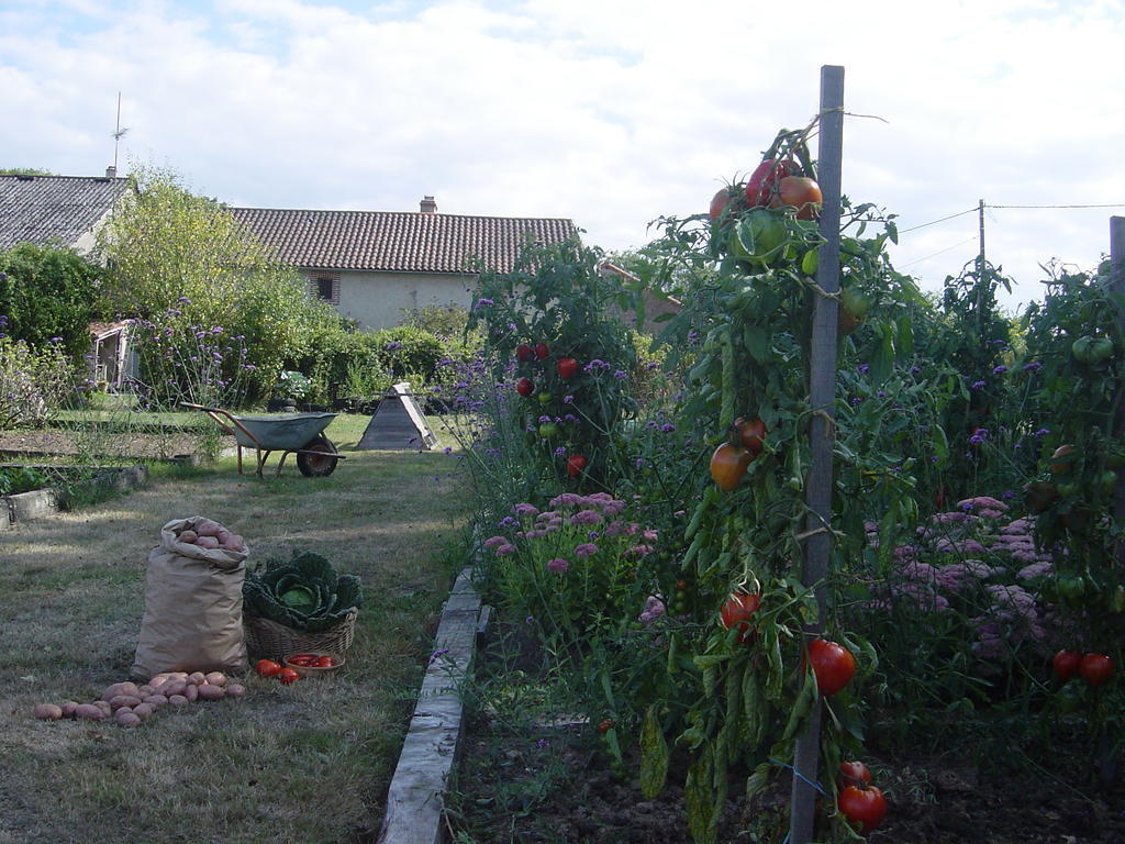 Chez Tartaud Villa Lathus St Remy Dış mekan fotoğraf