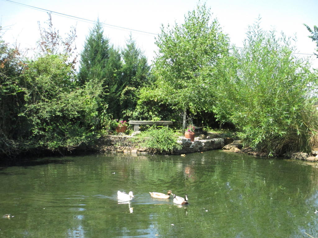 Chez Tartaud Villa Lathus St Remy Dış mekan fotoğraf