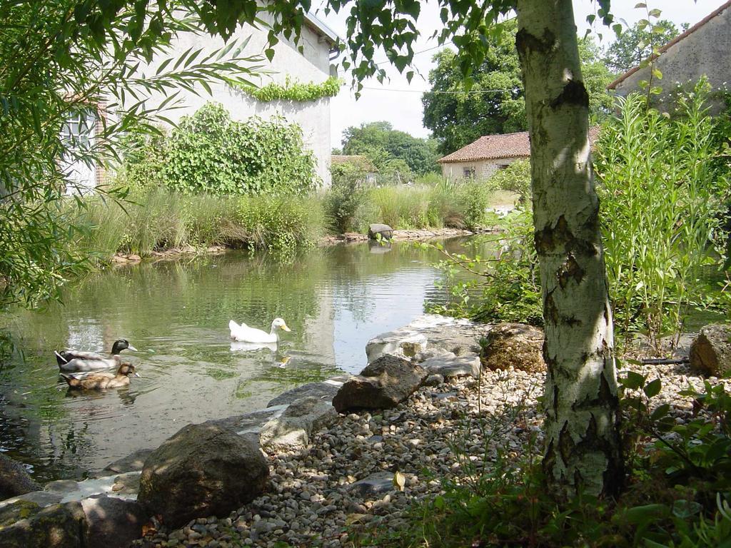 Chez Tartaud Villa Lathus St Remy Dış mekan fotoğraf